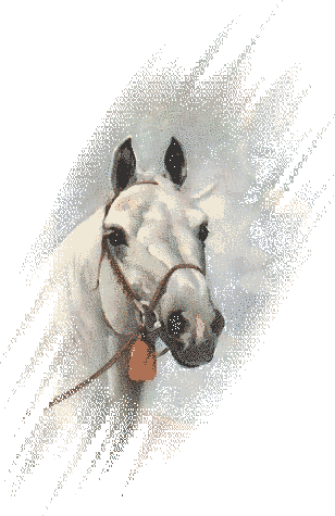 horse painting