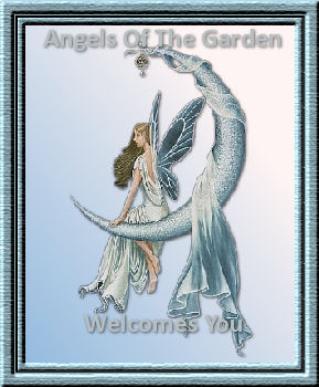 angel member welcome