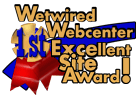 Web Center Excellent Site Award
